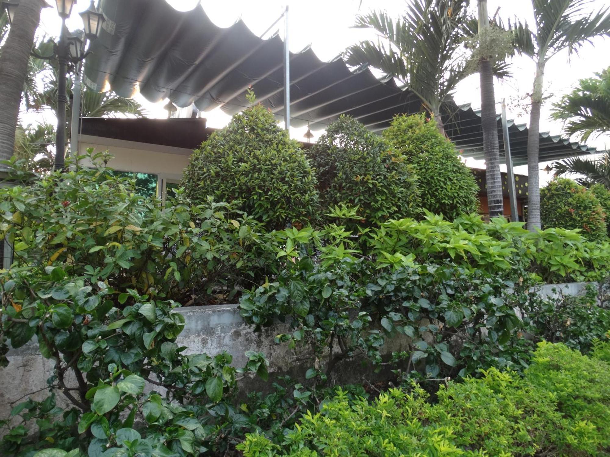 Hoai Pho Hotel Ho Şi Min Dış mekan fotoğraf